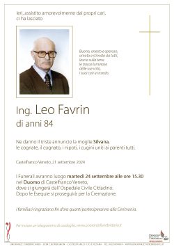 Ing. Leo Favrin