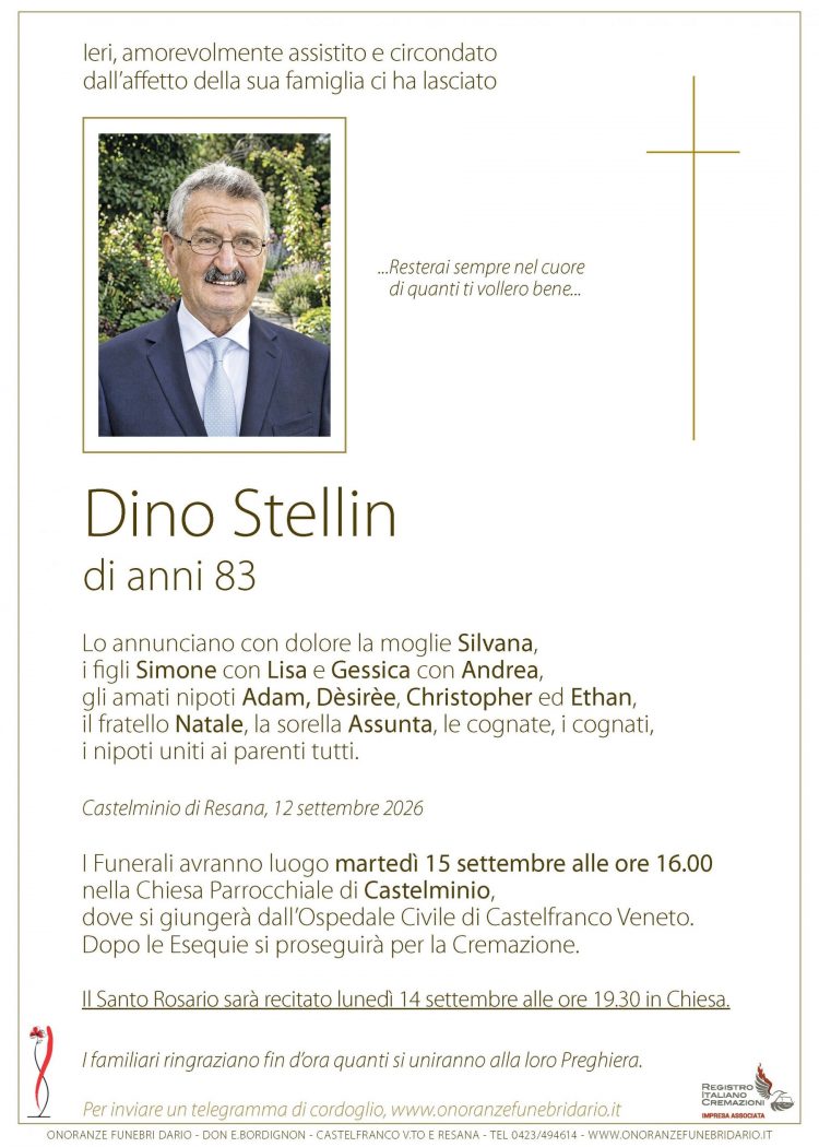 Dino Stellin