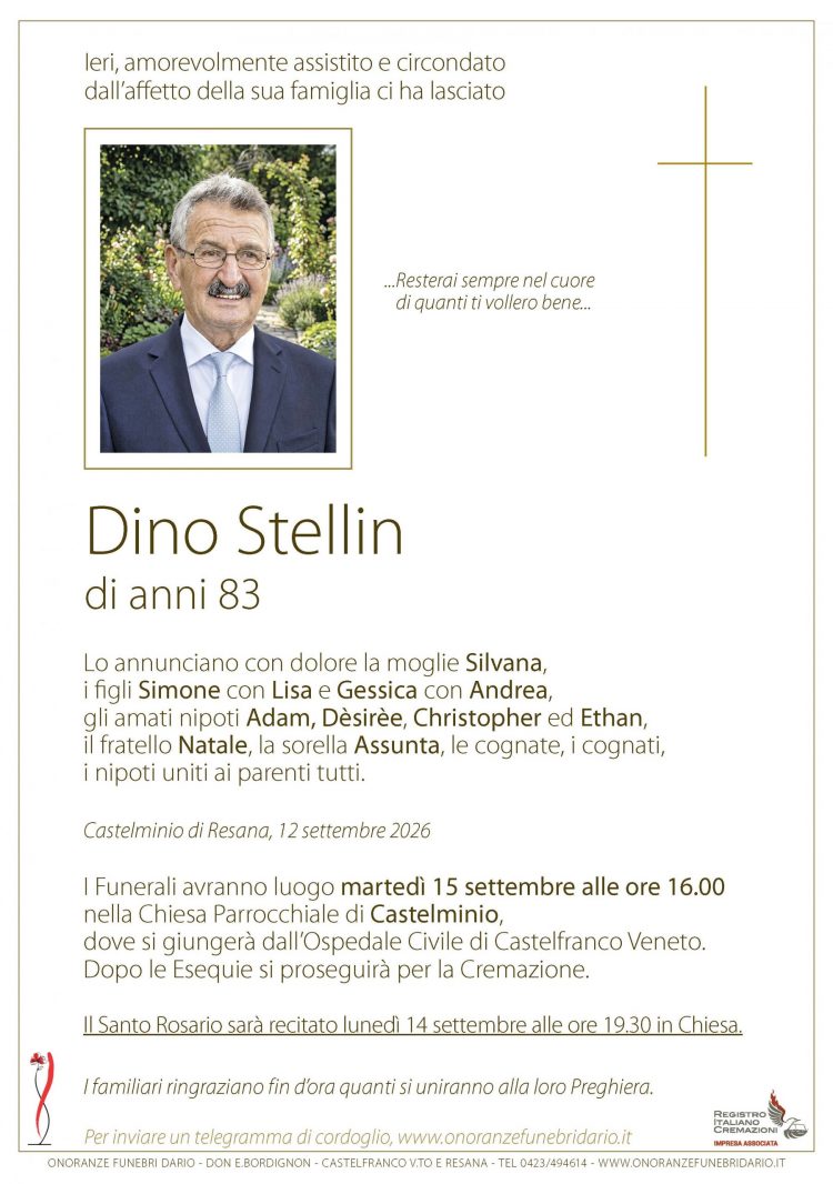 Dino Stellin
